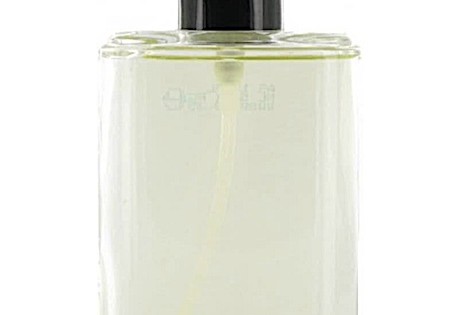 Van Gils Strictly For Men - 100 ml - Navulbaar - Eau de Toilette