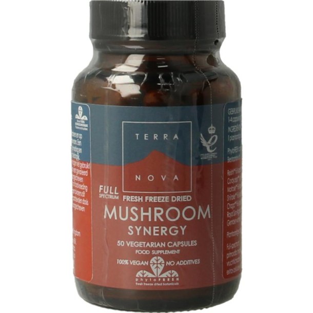 Terranova Mushroom synergy complex (50 Vegetarische capsules)