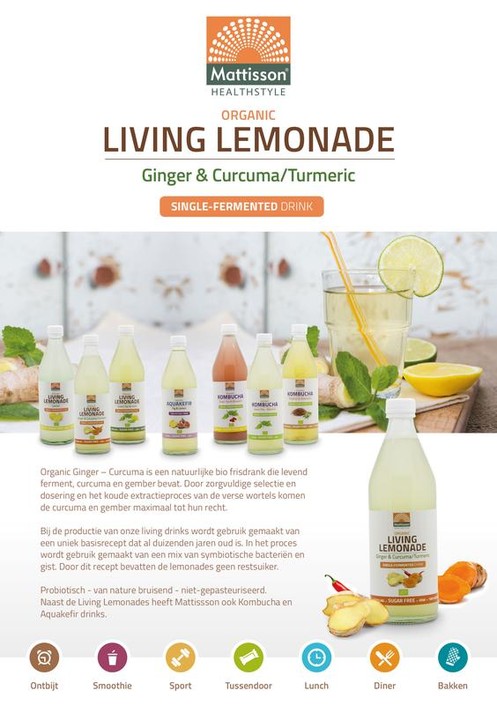 Mattisson Folder drinks living lemonade A5 (1 Stuks)