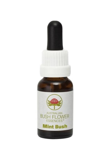 Australian Bush Mint bush (15 Milliliter)