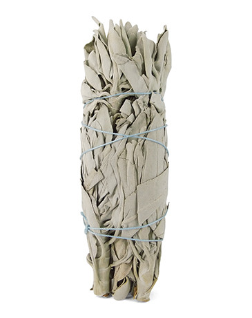 Ruben Robijn Saliebosje 14 cm (1 Stuks)