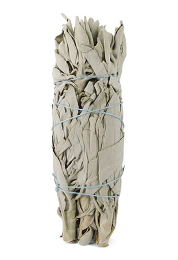 Ruben Robijn Saliebosje 14 cm (1 Stuks)