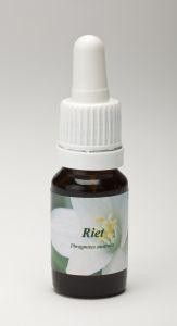 Star Remedies Riet (10 Milliliter)