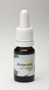 Star Remedies Kerspruim (10 Milliliter)
