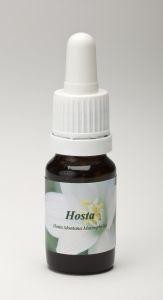 Star Remedies Hosta (10 Milliliter)