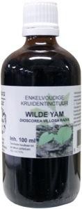 Natura Sanat Dioscorea villosa / wilde yam tinctuur (100 Milliliter)