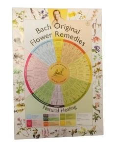 Bach Remedies poster A2 (1 Stuks)