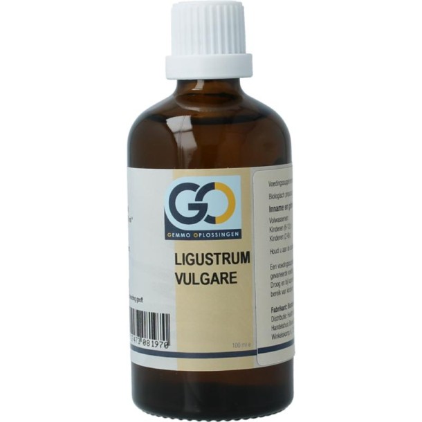 GO Ligustrum vulgare (100 Milliliter)