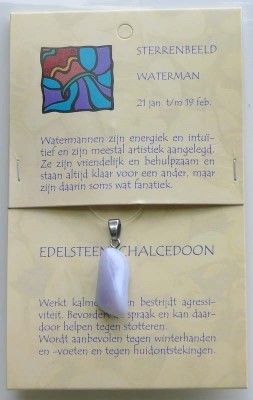 Steengoed Sterrenbeeldsteen hanger waterman (1 Stuks)