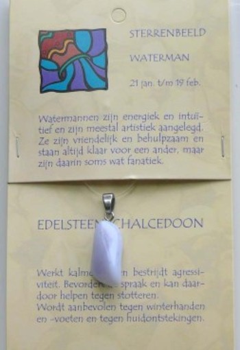 Steengoed Sterrenbeeldsteen hanger waterman (1 Stuks)
