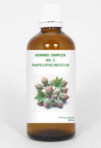 Balancepharma Gemmo simplex 5 ampelopsis weitchii (100 Milliliter)