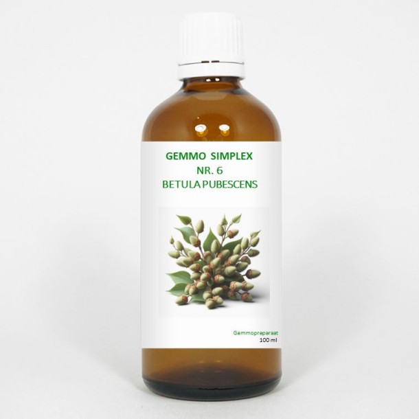 Balancepharma Gemmo simplex 6 betula pubescens (100 Milliliter)
