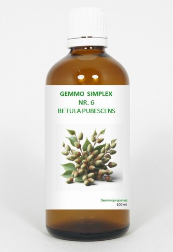 Balancepharma Gemmo simplex 6 betula pubescens (100 Milliliter)