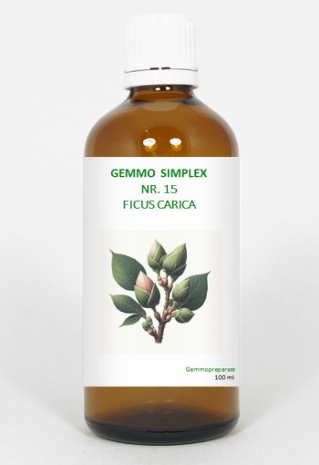 Balancepharma Gemmo simplex 15 ficus carica (100 Milliliter)