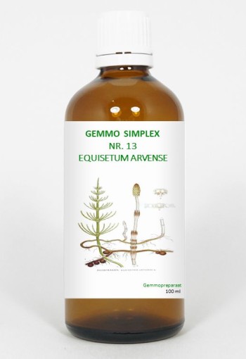 Balancepharma Gemmo simplex 13 equisetum arvense (100 Milliliter)