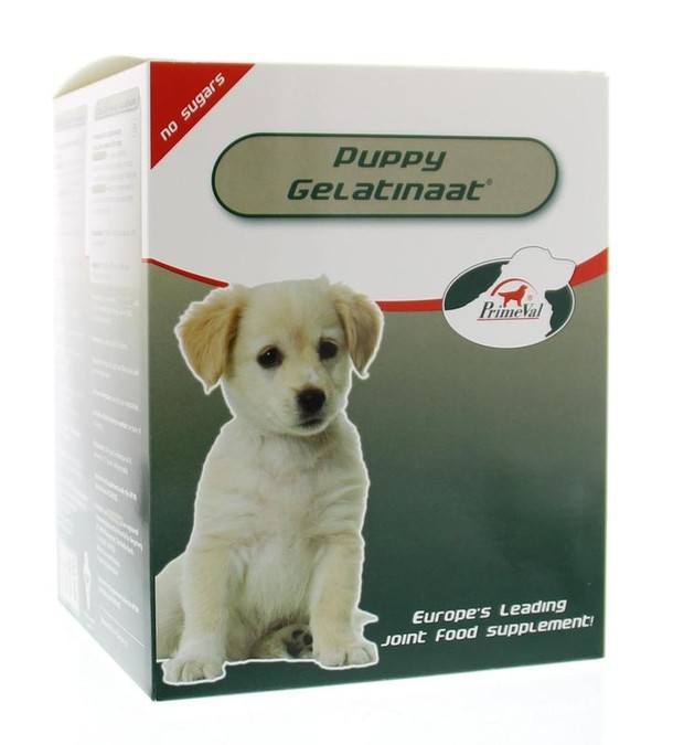 Primeval Gelatinaat puppy (350 Gram)