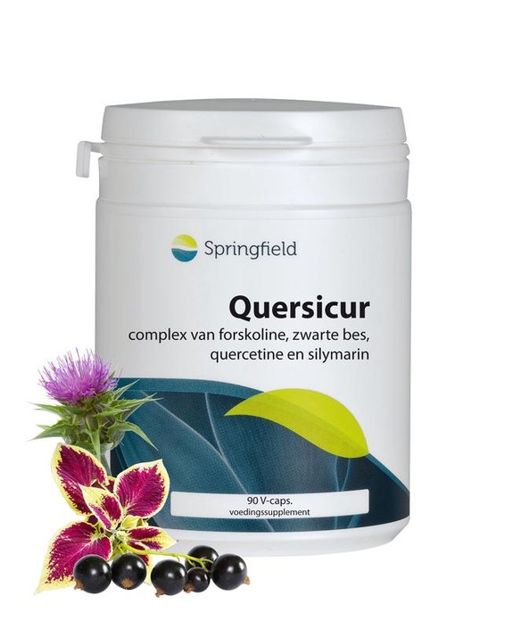 Springfield Quersicur antioxy complex (90 Vegetarische capsules)
