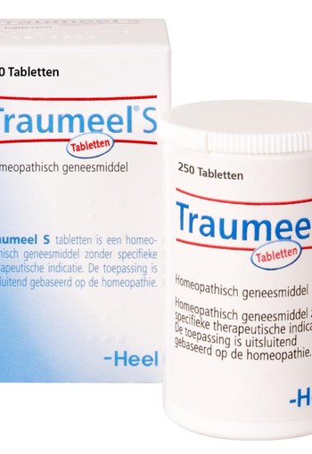 Heel Traumeel S (250 Tabletten)