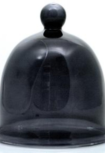 Terre Doc Patchouli kleine glazen stolp zwart (1 Stuks)