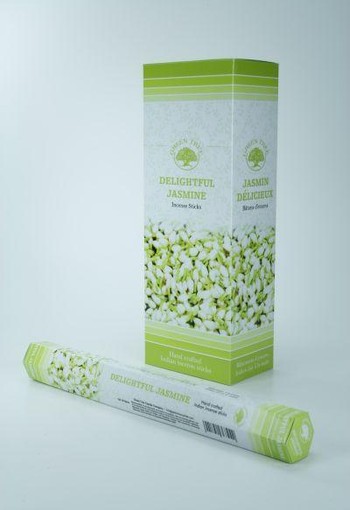 Green Tree Wierook delightful jasmine (20 Stuks)