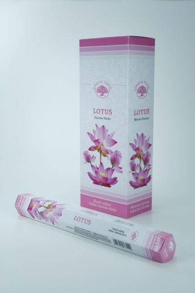 Green Tree Wierook lotus (20 Stuks)