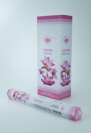 Green Tree Wierook lotus (20 Stuks)