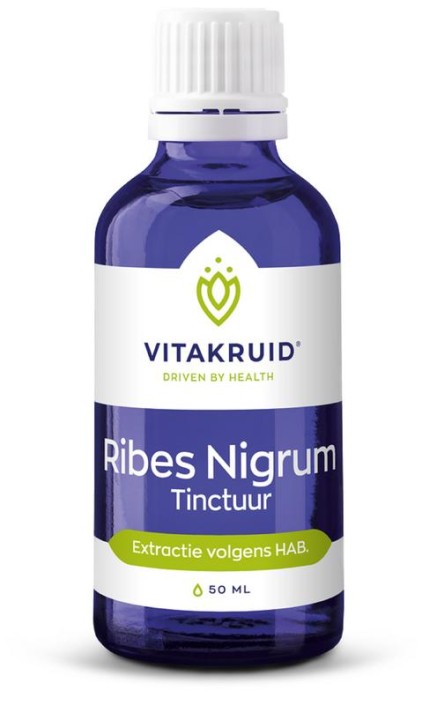 Vitakruid Ribes Nigrum Zwarte bes tinctuur 1:10 (50 Milliliter)