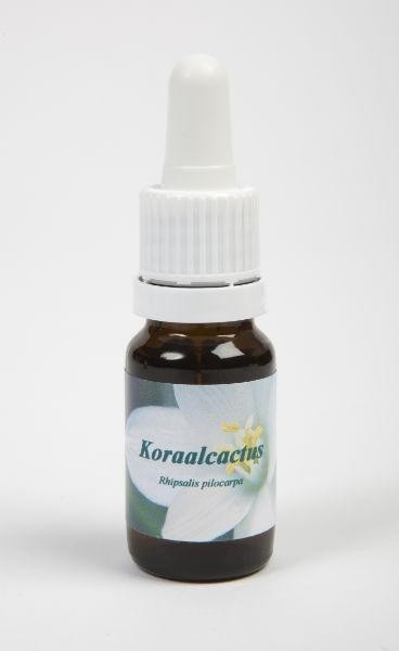 Star Remedies Koraalcactus (10 Milliliter)