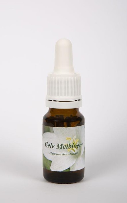 Star Remedies Gele meibloem (10 Milliliter)
