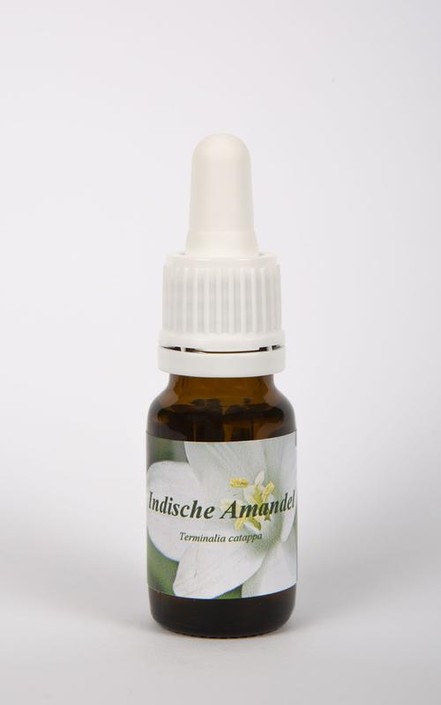 Star Remedies Indische amandel (10 Milliliter)
