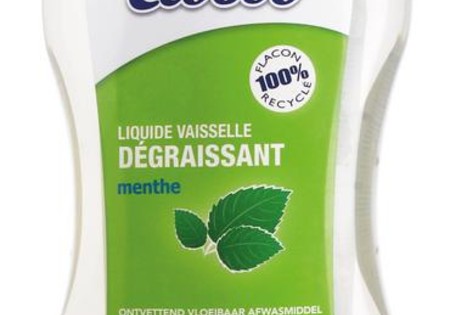 Ecodoo Afwasmiddel vloeibaar ontvettend munt bio (1 Liter)