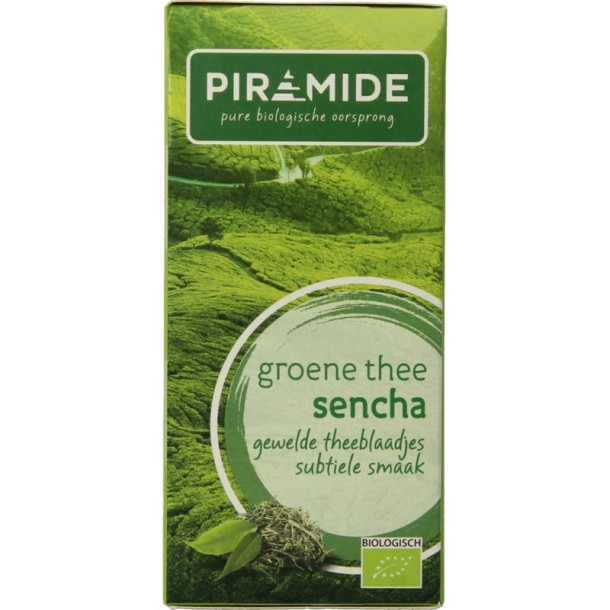 Piramide Groene thee sencha eko bio (20 Zakjes)