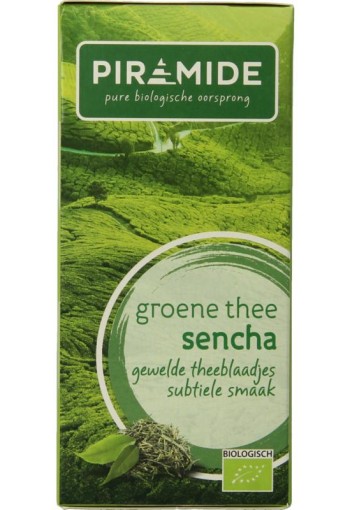 Piramide Groene thee sencha eko bio (20 Zakjes)
