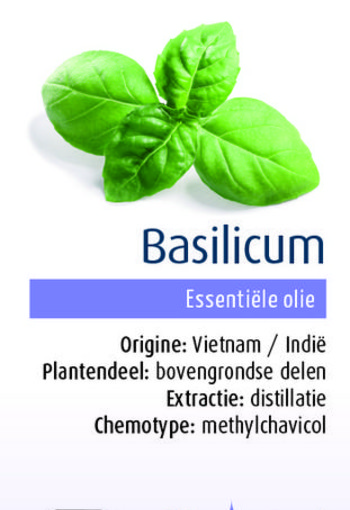 Physalis Basilicum bio (10 Milliliter)