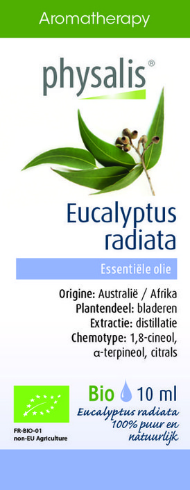 Physalis Eucalyptus radiata bio (10 Milliliter)