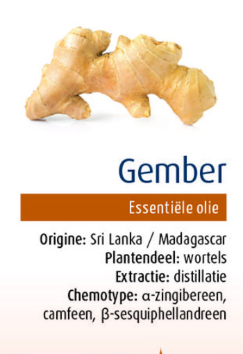 Physalis Gember bio (10 Milliliter)
