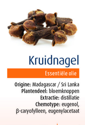 Physalis Kruidnagel bio (10 Milliliter)