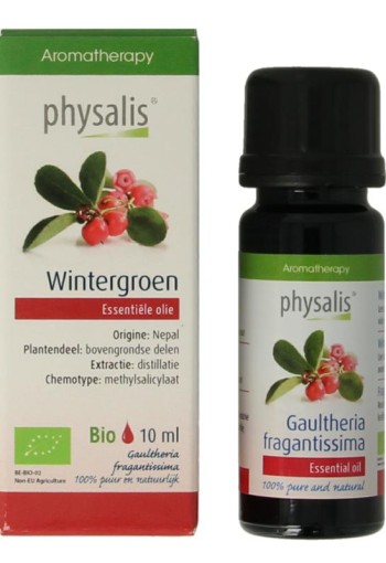 Physalis Wintergreen bio (10 Milliliter)