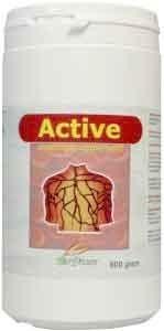 Biodream Active (800 Gram)