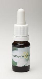 Star Remedies Houttuynia cordata (10 Milliliter)