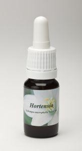 Star Remedies Hortensia (10 Milliliter)