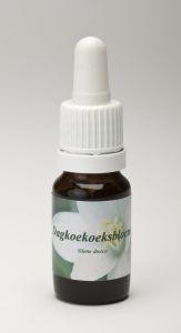 Star Remedies Dagkoekoeksbloem (10 Milliliter)
