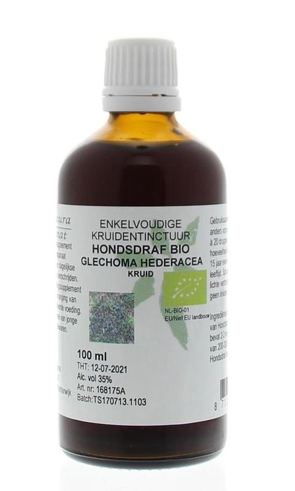 Cruydhof Glechoma hederacea / hondsdraf tinctuur bio (100 Milliliter)