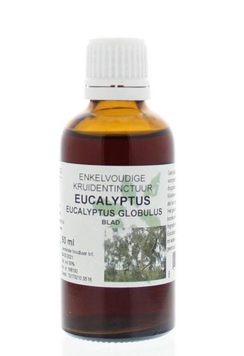 Natura Sanat Eucalyptus globulus folia tinctuur (50 Milliliter)