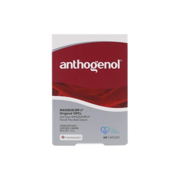 Masqueliers Anthogenol (60 Capsules)