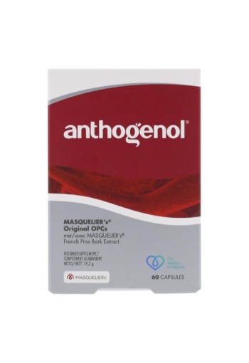 Masqueliers Anthogenol (60 Capsules)