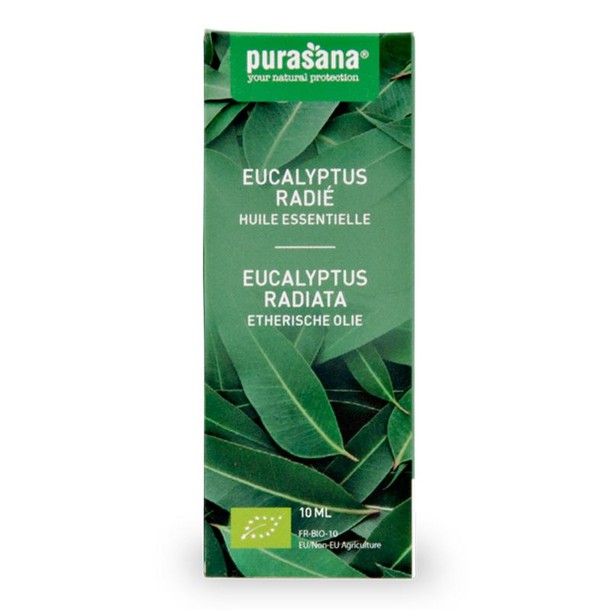 Purasana Eucalyptus radiata olie bio (10 Milliliter)