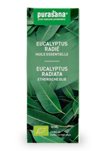 Purasana Eucalyptus radiata olie bio (10 Milliliter)