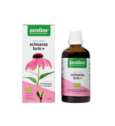 Purasana Echinacea forte + vegan bio (100 Milliliter)