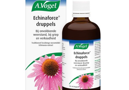 A Vogel Echinaforce (100 ml)